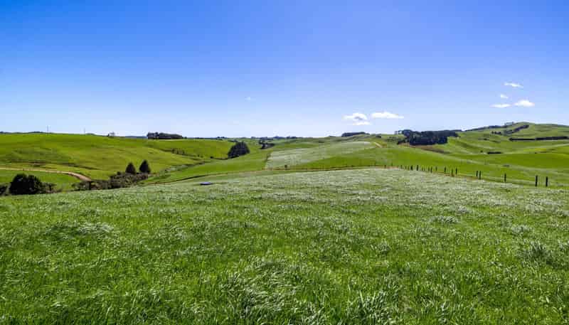 44 Te Papatapu Road, Raglan