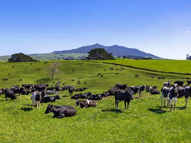 44 Te Papatapu Road, Raglan