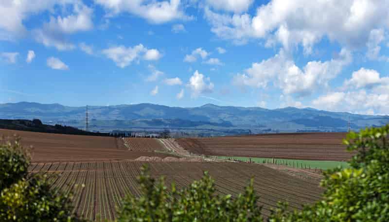 4 Mile Bush Road, Pukekawa
