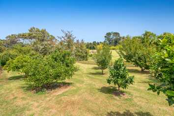 786 South Head Road, South Head