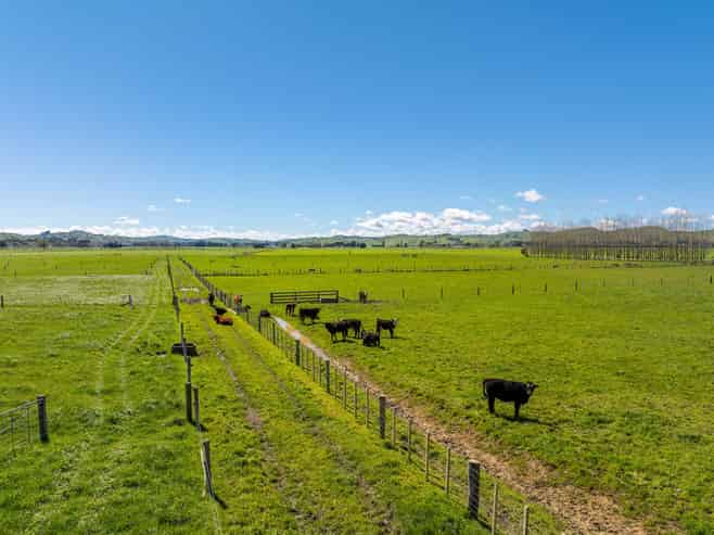 211 Masterton Castlepoint Road, Castlepoint