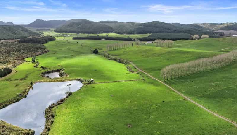 735 Tairua SH25 Road, Onemana