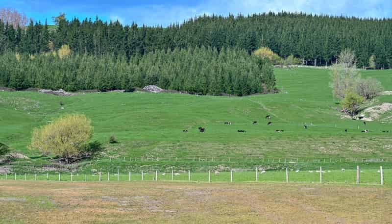 1269 Elsthorpe Road, Otane