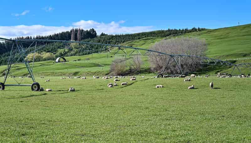 1269 Elsthorpe Road, Otane
