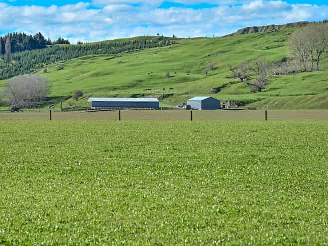 1269 Elsthorpe Road, Otane