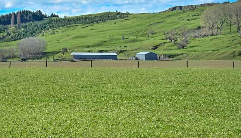 1269 Elsthorpe Road, Otane