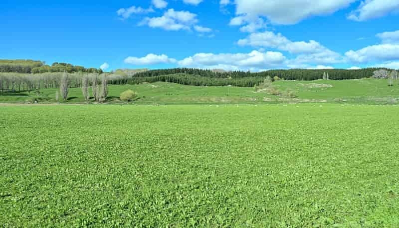 1269 Elsthorpe Road, Otane