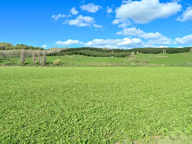1269 Elsthorpe Road, Otane