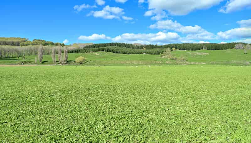 1269 Elsthorpe Road, Otane