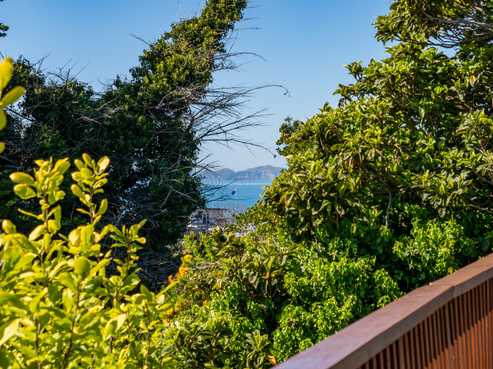 42 Milton Road, Bluff Hill