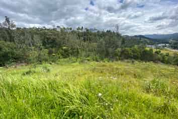 Lot 3/315 The Drive, Whangamata