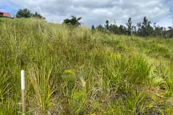 Lot 3/315 The Drive, Whangamata