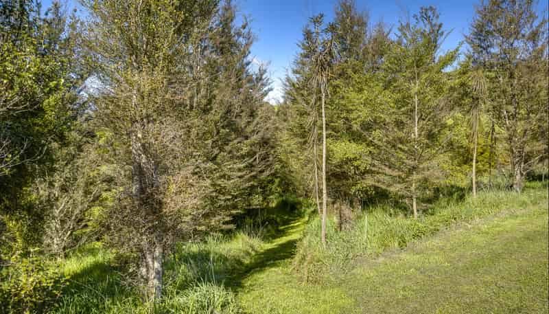 135 Willowford Road, Waiwhare
