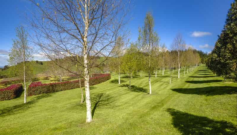 135 Willowford Road, Waiwhare