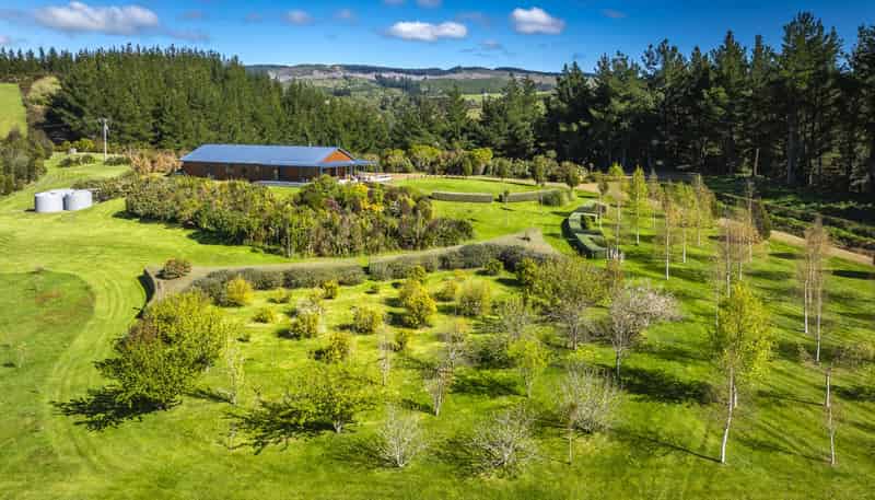135 Willowford Road, Waiwhare