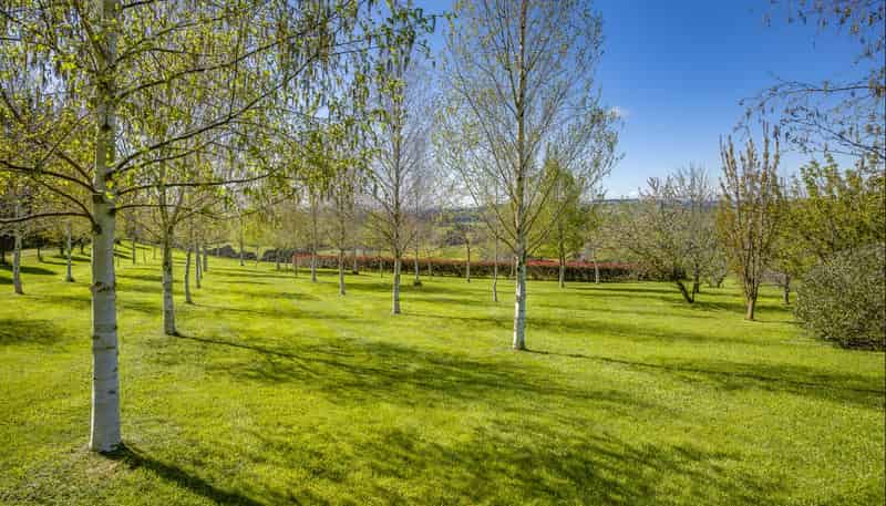 135 Willowford Road, Waiwhare