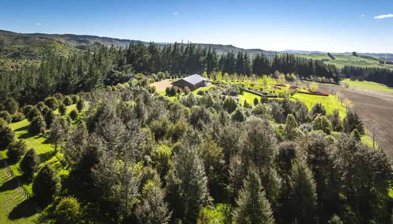 135 Willowford Road, Waiwhare