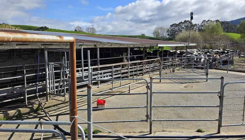 128 Waikaukau Road, Ngakuru