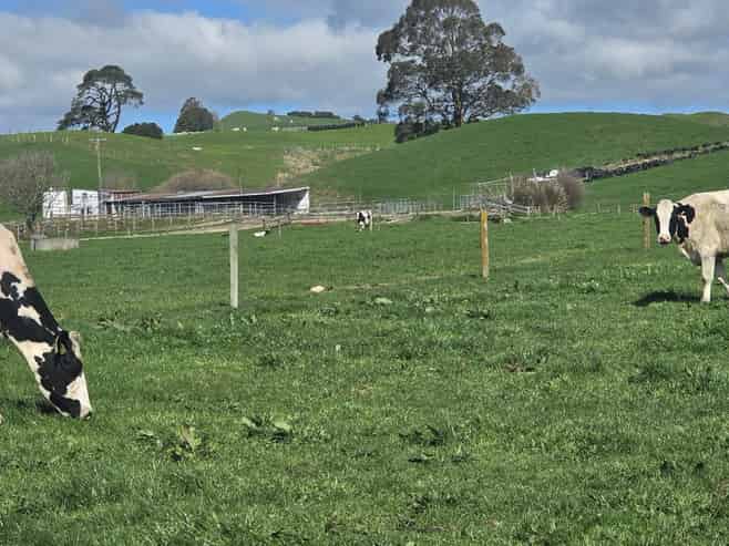128 Waikaukau Road, Ngakuru