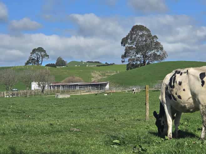 128 Waikaukau Road, Ngakuru