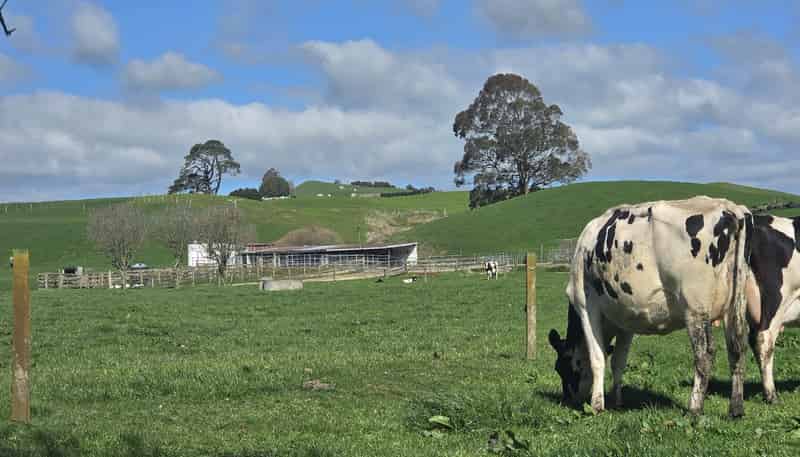128 Waikaukau Road, Ngakuru