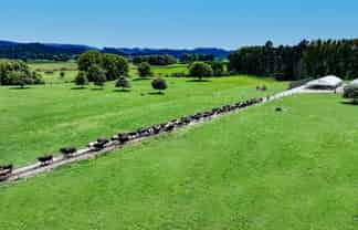 91 State Highway 30, Kinleith