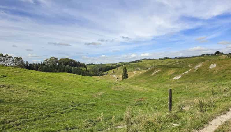 850 Sandel Road, Whakamaru