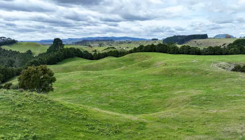 850 Sandel Road, Whakamaru