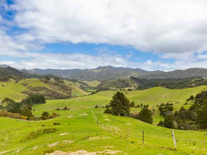 220 Kaimarama Road, Whitianga
