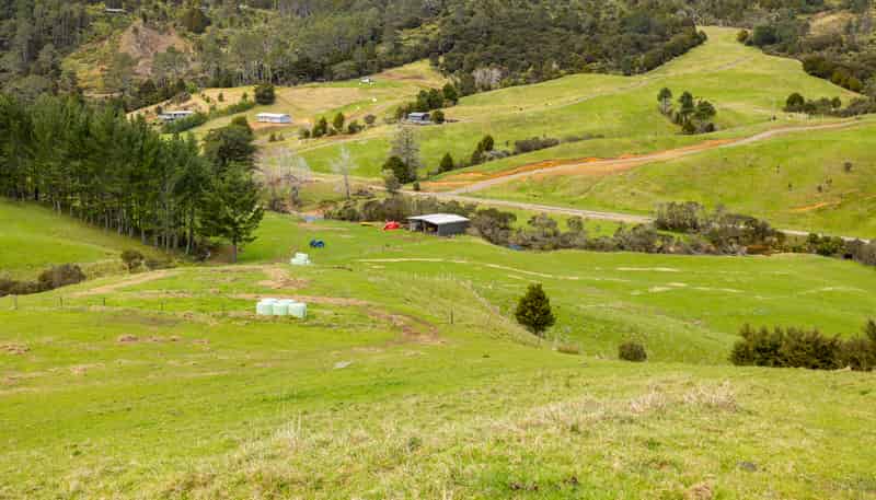 220 Kaimarama Road, Whitianga