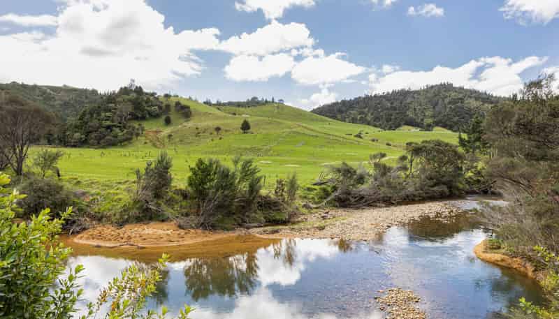 220 Kaimarama Road, Whitianga