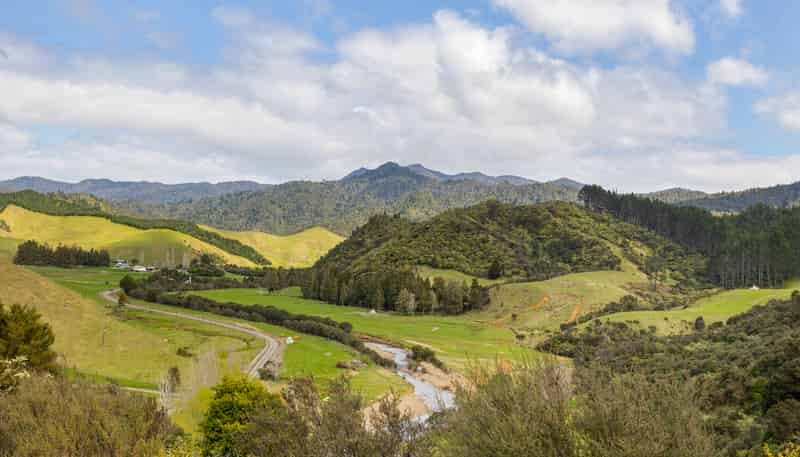 220 Kaimarama Road, Whitianga