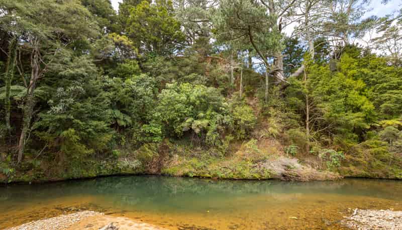 220 Kaimarama Road, Whitianga