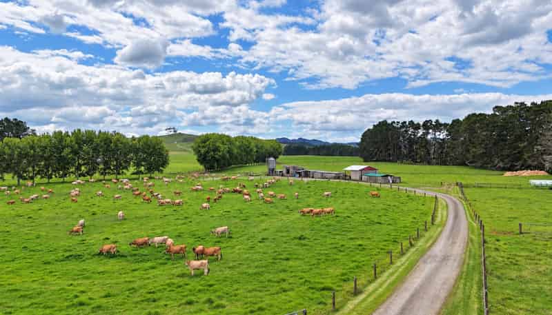 374 Rakauwahia Road, Kaikohe