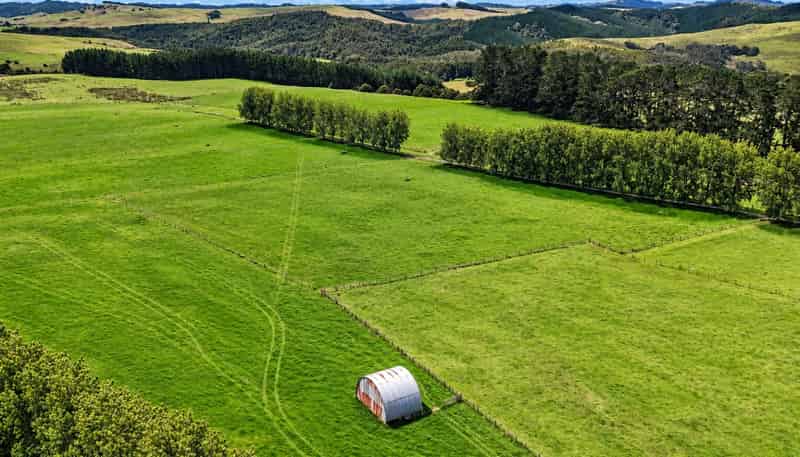 374 Rakauwahia Road, Kaikohe