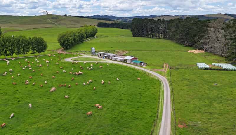 374 Rakauwahia Road, Kaikohe