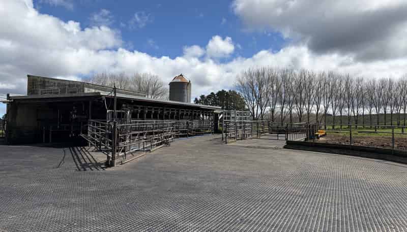 374 Rakauwahia Road, Kaikohe