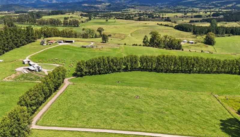374 Rakauwahia Road, Kaikohe