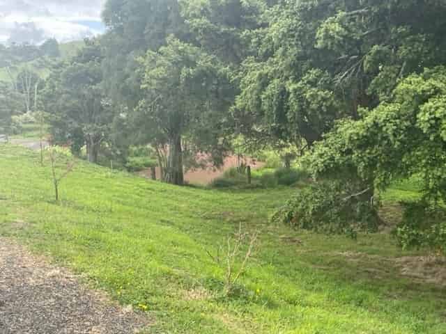 238 Waipuna Road, Waerenga