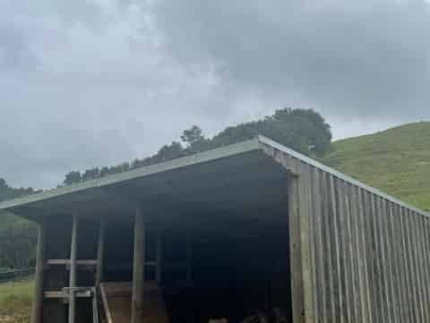 238 Waipuna Road, Waerenga