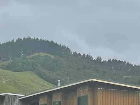 238 Waipuna Road, Waerenga