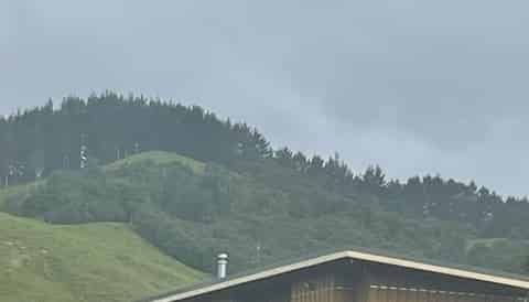 238 Waipuna Road, Waerenga