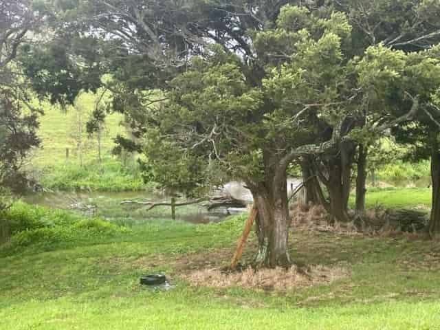 238 Waipuna Road, Waerenga