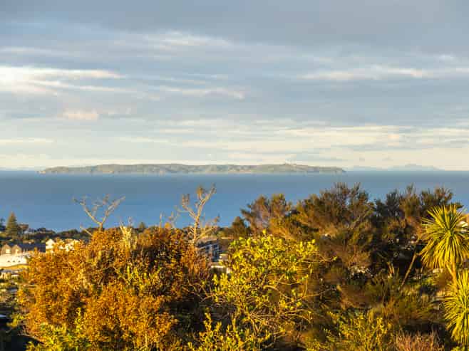 2 Taku Close, Long Bay