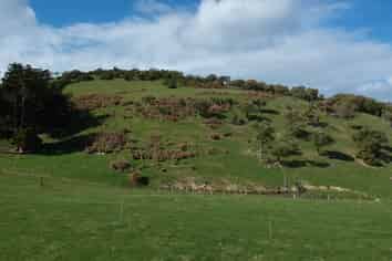  Dick Road, Moeraki