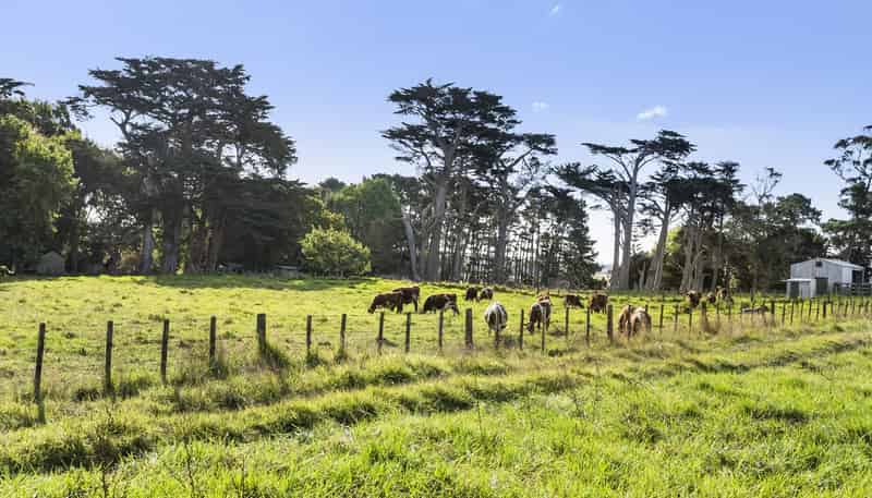 74 Taurangaruru Road, Waiuku