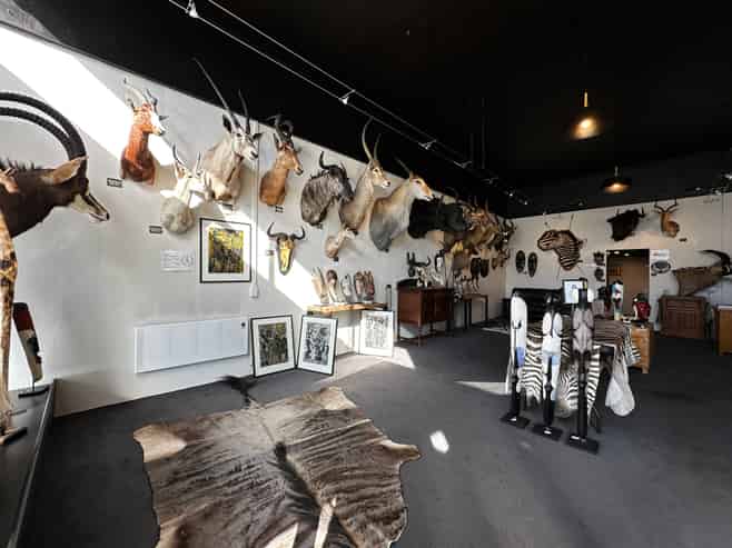 Retail - Princes St