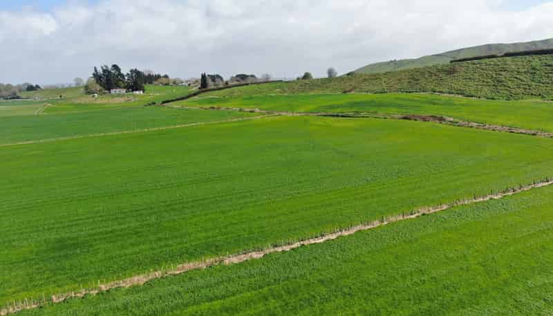 1375 State Highway 3, Otorohanga