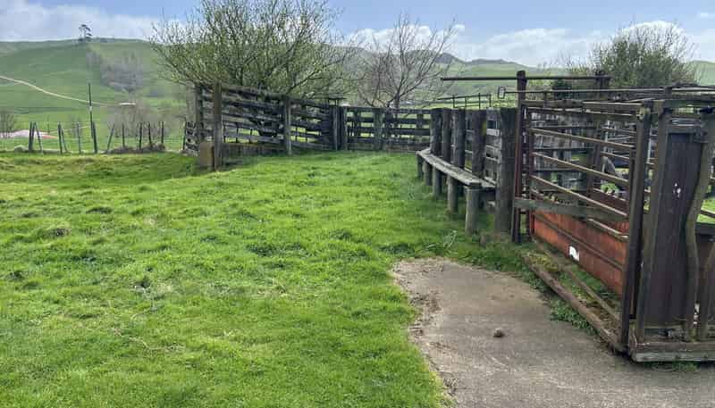 1375 State Highway 3, Otorohanga