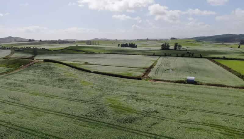 1375 State Highway 3, Otorohanga